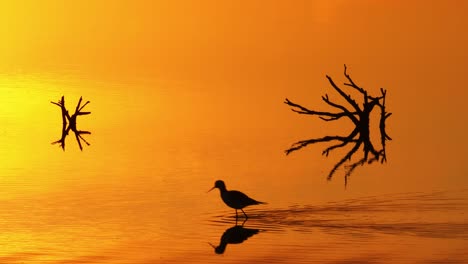 Silhouette-pied-stilt-bird-strutting-across-water-reflecting-vivid-orange-sunset