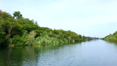 Den-Borneo-River-Hinunter,-2°26&#39;27