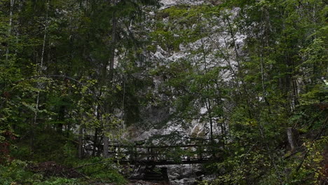 Palenk-waterfall-in-Logarska-valley,-Slovenia,-alpine-creek-cascading-over-rocks,-HD,-pan-up,-low-to-high-angle-shot