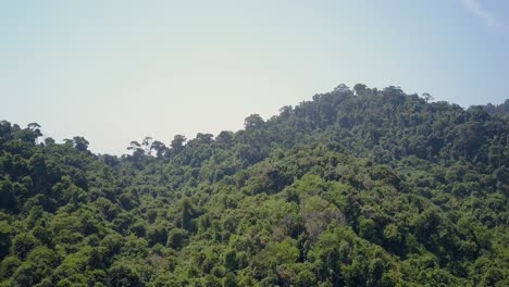Luftaufnahme-Einer-üppigen-Grünen-Landschaft-In-Thailand-An-Einem-Hellen-Tag-–-Kameraführung-Und-Schwenk-Nach-Rechts