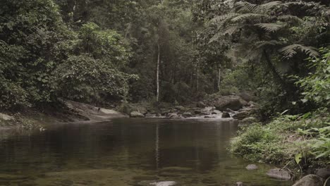 Regenwald-Ruhiger-Fluss
