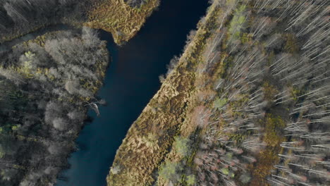 Luftaufnahme,-Von-Oben-Nach-Unten,-Vogelperspektive,-Drohnenaufnahme,-über-Einem-Fluss,-Umgeben-Von-Blattlosem-Herbstwald,-An-Einem-Kalten,-Halb-Bewölkten-Herbsttag,-In-Juuka,-Nordkarelien,-Finnland