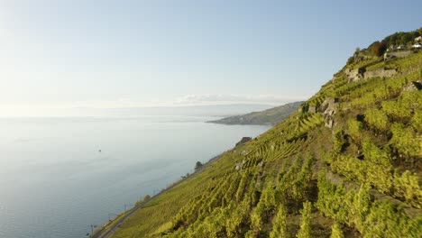 Aerial-shot-starting-low-over-Lavaux-vineyard-then-climbing---Switzerland-Autumn-colors-and-sunset-light