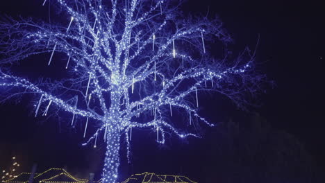 Dynamic-shot-of-Tree-decorated-with-Blue-Christmas-lights-and-icicles