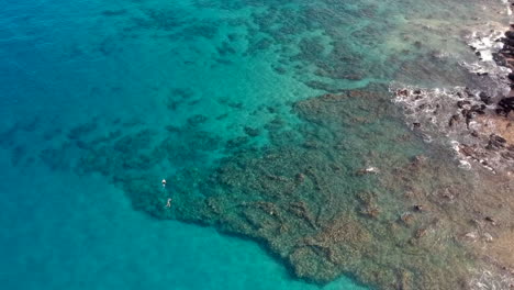 Snorkelers-off-Keawakapu-Beach-in-Kihei-and-Wailea-Maui-Hawaii
