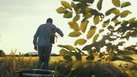 Musician-rehearsing-in-wheat-field-during-beautiful-sunset