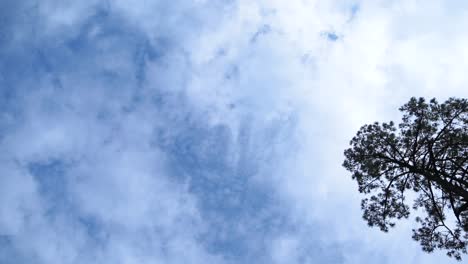 Nubes-En-El-Cielo-Con-Un-árbol