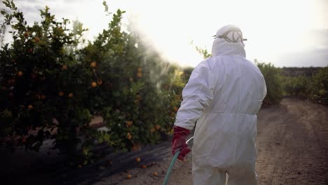 Landwirt-Sprüht-Insektizide,-Pestizide,-Pestizide-Oder-Insektizide,-Die-Auf-Landwirtschaftlichen-Feldern-Von-Zitronenbäumen-In-Spanien-Sprühen