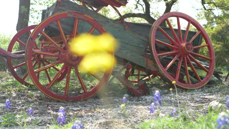Hand-held,-slow-motion-shots-of-a-rustic-old-wagon-in-a-field-of-wildflowers