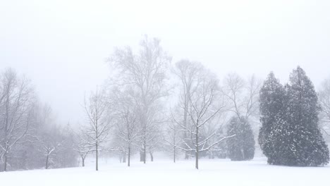 Wintertag-In-Einem-Stadtpark,-Nelson-Park,-Columbus,-Ohio