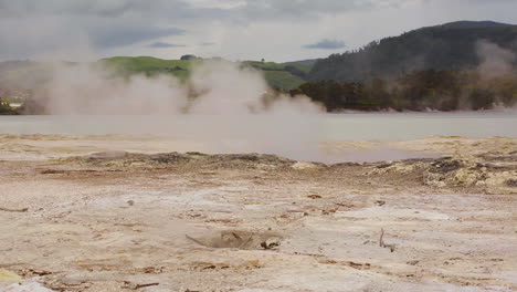 Geysers-in-Rotarua,-New-Zealand-emitting-steam-due-to-geo-thermal-activity