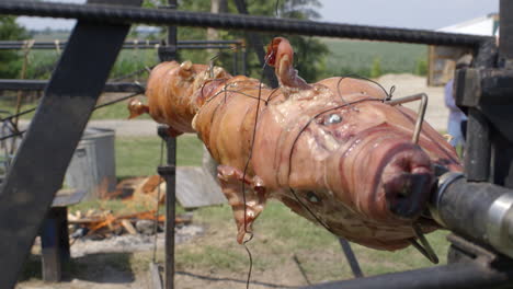 wood-burning-fire-camera-tilts-up-to-reveal-a-whole-pig-turning-and-roasting