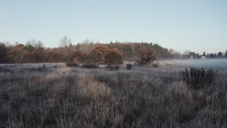 Frühmorgendliche-Winterlandschaft,-Kamerafahrt-über-Frostbedeckte-Büsche,-Sehr-Romantisch