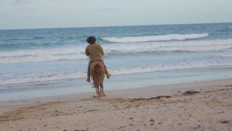 Slow-motion-of-a-horse-rider-on-a-beach