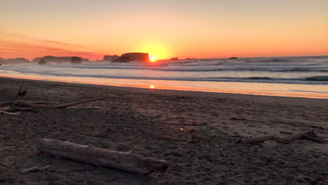 Driftwood-at-Bandon-Beach-in-Southern-Oregon,-panning-to-show-beach-and-people-walking-during-sunset-at-this-popular-tourist-destination
