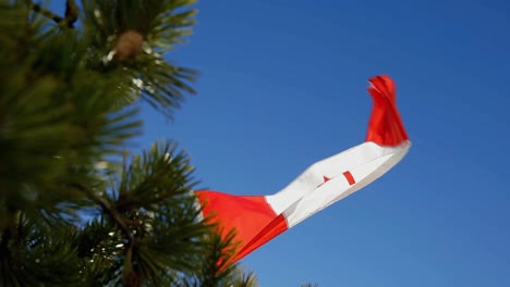 Canadian-flag-blowing-in-strong-winds-with-tree-in-foreground