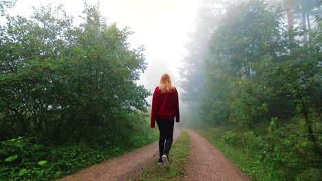 SLOWMO,-woman-in-red-sweater-walks-off-into-the-distance-on-a-trail-through-Black-Forest