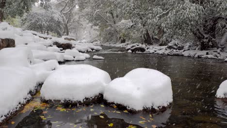 Nieve-Cayendo-En-El-Arroyo-Boulder,-Roca,-Colorado