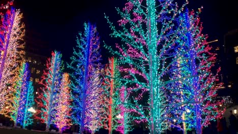 Colorful-Winter-Festival-Light-Trees-Timelapse