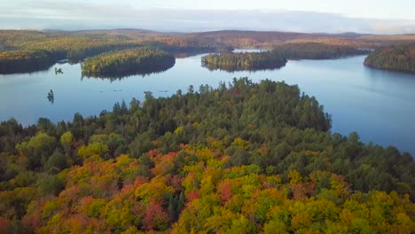 Eine-Luftaufnahme-Der-Herbstwaldfarben-Am-Tag-Kippt-Nach-Oben-Und-Zeigt-Einen-Ruhigen-See-Mit-Kanus-Und-Kieferninseln-Sowie-Spiegelungen-In-Kawarthas,-Ontario,-Kanada