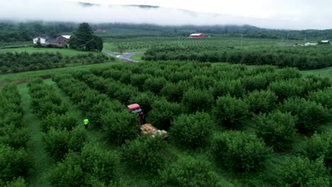 Aerial-camera-pulling-away-showing-tractor-and-setting-of-orchard-in-the-mountains-with-clouds