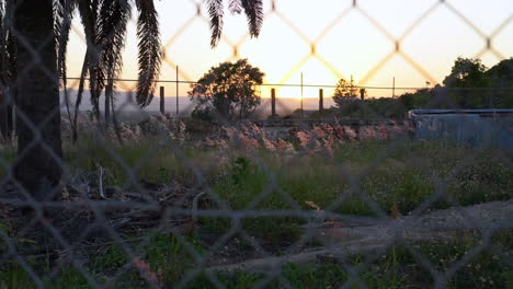Panning-footage-of-a-sunset-looking-through-a-chainlink-mesh-fence-surrounding-an-old-structure,-with-long-grass-and-trees-gently-blowing-in-the-wind