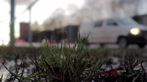 Small-patch-of-grass-close-up-in-the-streets-with-traffic-in-background-blurred-and-wet-weather