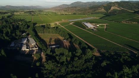 Chilean-vineyard-and-tranque-aerial-view-footages