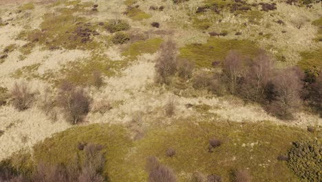 Luftaufnahme-Der-Englischen-Moor--Und-Waldlandschaft