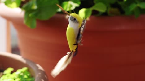 Toy-bird-in-flowerpot-flapping-wings