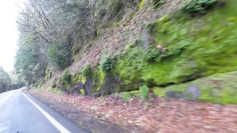 Driving-down-the-road-with-beautiful-green-moss-covered-rocks-and-trees-cover-the-rocky-hills-in-Oregon