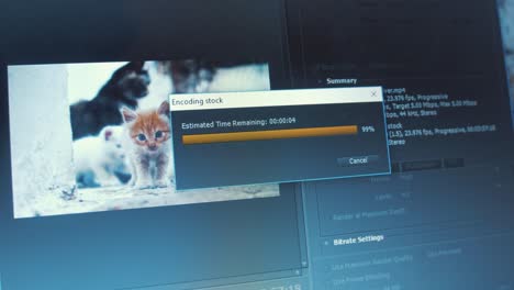 Laptop-Bildschirm,-Auf-Dem-Ein-Bearbeitetes-Katzenvideo-Zu-Sehen-Ist,-Das-Vollständig-Gerendert-Wird