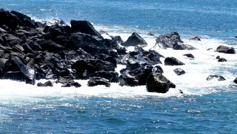 Wellen-Brechen-Auf-Schwarzen-Vulkanfelsen-An-Der-Küste-Eines-Ländlichen-Fischerdorfes-In-Der-Perle-Des-Atlantiks,-Der-Insel-Madeira