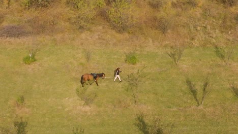 Aerial-drone-shot-of-girl-and-horse-walk-in-grass-field
