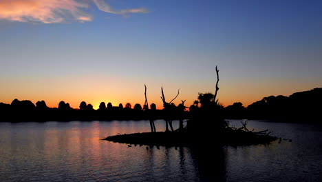 AERIAL:-Sun-setting-over-a-lake-while-the-camera-moves-through-the-silhouette-of-a-tree