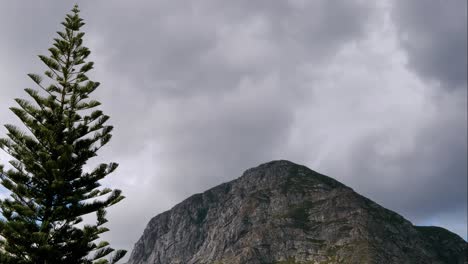 Timelapse-of-clouds-moving-over-mountain,-with-fir-tree-in-foreground