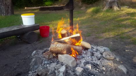 small-bonfire-in-Estonian-Forest