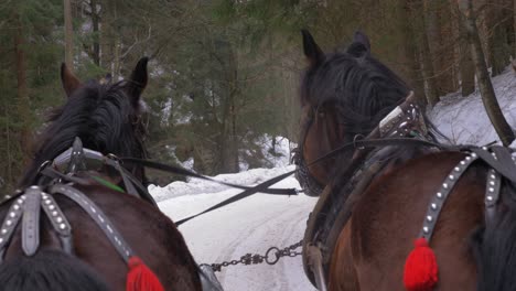 Close-shot-of-two-cart-horses-rumps-pulling-a-sleigh-on-a-snow-in-a-forest