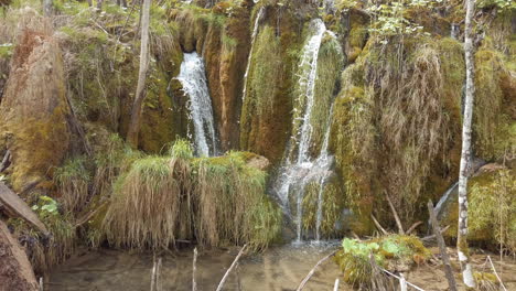 Pequeñas-Cascadas-A-Través-De-Rocas-Cubiertas-De-Musgo-En-Los-Lagos-Del-Parque-Nacional-De-Plitvice