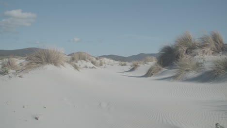 Static-shot-of-small-sand-dunes-with-clear-sky-and-vegetation