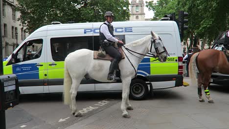 Britischer-Polizist-Zu-Pferd-Mit-Polizeiwagen-Im-Hintergrund-Während-Des-Protestes