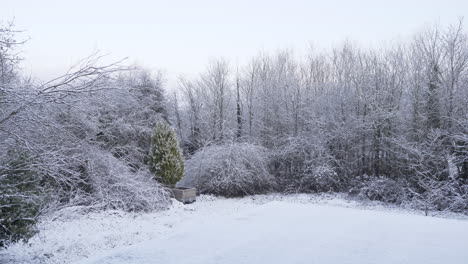 Kleiner-Englischer-Garten,-Bedeckt-Mit-Schwerem,-Weißem,-Flauschigem-Schnee