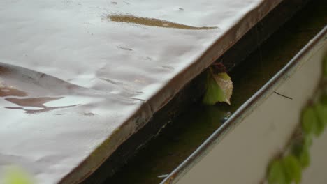 Rainy-day-with-gutter-leaf