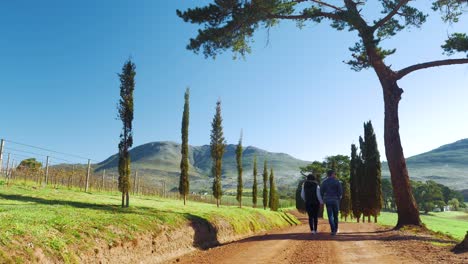 Man-and-woman-walking-hand-in-hand-down-gravel-road-lined-with-tall-trees,-beautiful-sunny-weather-blue-skies
