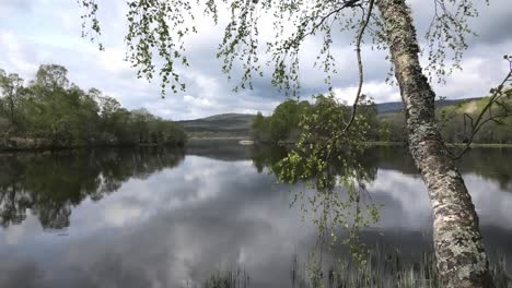 Loch-Kinord-in-spring-with-new-leaves-on-birch-branches