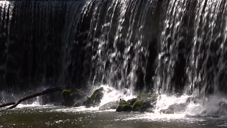 Static-view-of-man-made-waterfall-gently-falling-on-rocks-and-trees-in-park-setting,-close-up-view