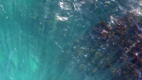 Aerial-shot-looking-directly-down-at-the-ocean-coast-,-showing-moving-waves-and-seaweed,-with-sunlight-shining-through