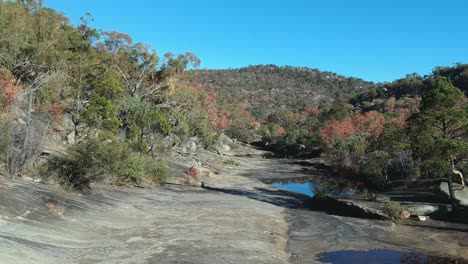 Following-a-dry-creek-bed-in-Australian-bush-land