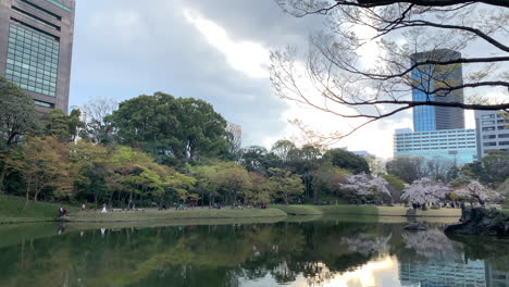 Una-Panorámica-Del-Lago-Del-Jardín-Botánico-Koishikawa-Con-Flor-De-Cerezo