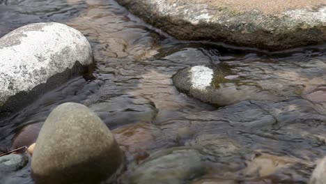 Wasser,-Das-über-Flusswassersteine-Zurück-Ins-Meer-Fließt